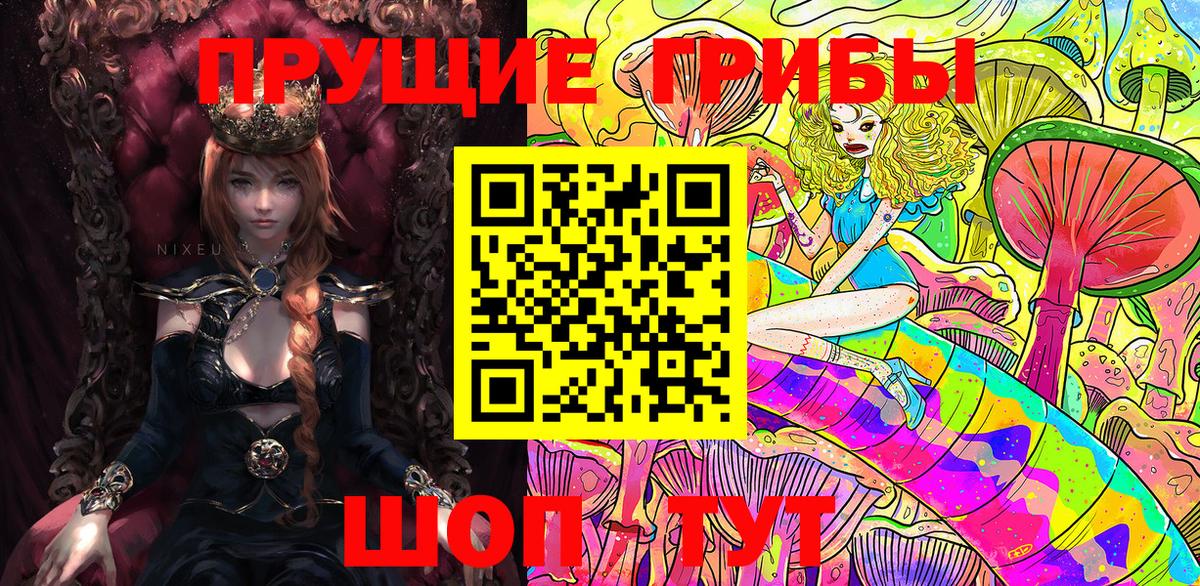 Псилоцибиновые грибы GOLDEN TEACHER  Псилоцибиновые грибы прущие грибы  Набережные Челны 