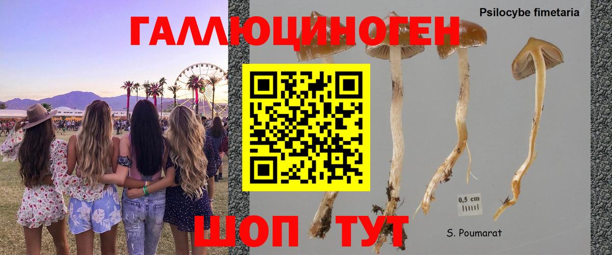 Галлюциногенные грибы MAGIC MUSHROOMS Набережные Челны