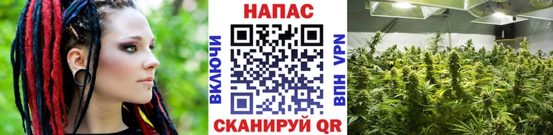 мега как зайти  цены   Набережные Челны  Бошки Шишки MAZAR 